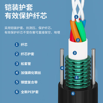 千天 Qantop 单模GYXTW中心管式铠装光缆6芯 室外架空地埋光缆1米 QT-GYTXW-6B1-1