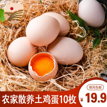 童仙子农家散养土鸡蛋现捡新鲜谷物虫草蛋乌鸡蛋 顺丰 10枚装（顺丰）10枚45g