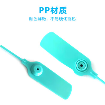 飞尔（FLYER）一次性防拆条扎带 物流封签集装箱货柜防伪防盗扣扎带100条【30cm 白色】