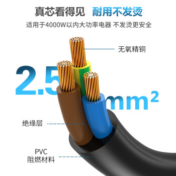 同为（TOWE）PDU/服务器C19转C20电源转换延长线TW-F-25C19/C20 1.8M