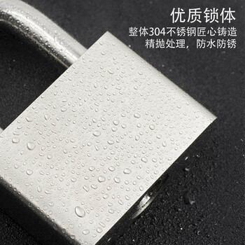 飞尔（FLYER）304不锈钢叶片挂锁 户外防水防锈安全挂锁 柜门防盗工具锁【30mm短梁不通开 带钥匙】