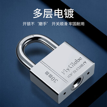 飞球（Fly.Globe）挂锁 防水防锈门锁工具箱包锁防盗窗锁FQ-W30mm