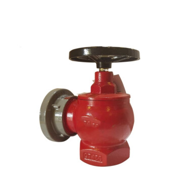 双龙消防 室内消火栓SNW65-III减压稳压型消火栓SNW65-3减压稳压栓消防龙头（定制商品）