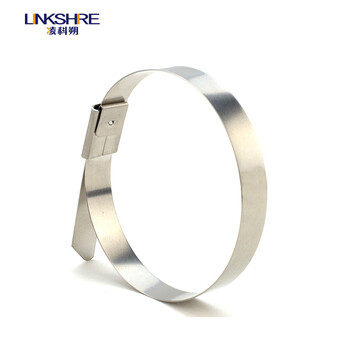 凌科朔（LINKSHIRE）不锈钢滚珠自锁式扎带7.9*300mm 304材质100条 电力电缆标识牌船用标牌金属钢扎带