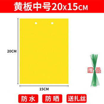 益美得  LD-3008 双面胶粘虫板15*20cm中号庭院大棚园艺茶园果园悬挂式诱虫板  40片装