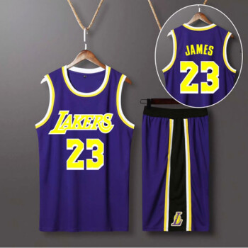 湖人球衣詹姆斯篮球上衣23号24球服城市版儿童套装戴维斯nba短袖紫色
