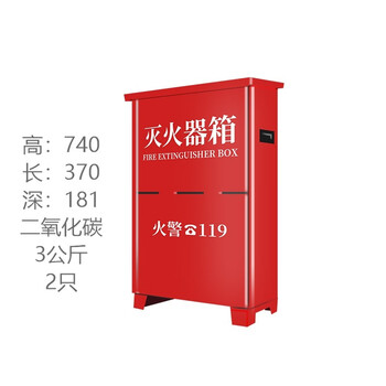 天生湖 NATURAL LAKE 灭火器箱3公斤2具 手提式二氧化碳MT灭火器箱子 3kg*2（新老款随机发货 不含灭火器）