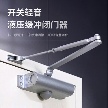 飞球（Fly.Globe）闭门器液压缓冲自动关门器 承重25-45kg FQ-051