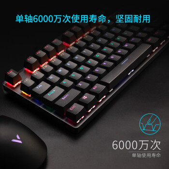 雷柏（Rapoo） V500PRO 有线背光机械键盘 104键全尺寸游戏电竞笔记本电脑多媒体办公吃鸡全键无冲键盘 红轴