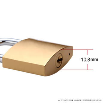 飞尔（FLYER）单开仿铜挂锁【20mm 单开 12把】
