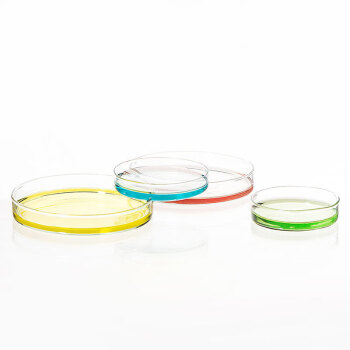 冰禹 BY-7003 玻璃培养皿 规格齐全培养皿 细胞培养高透明平皿 玻璃培养皿75mm 起订5