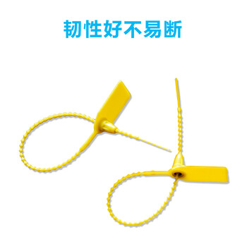 飞尔（FLYER）塑料铅封 一次性封条带防调包扣物流封条 防伪标牌标签扎带100条【25×1.9cm】