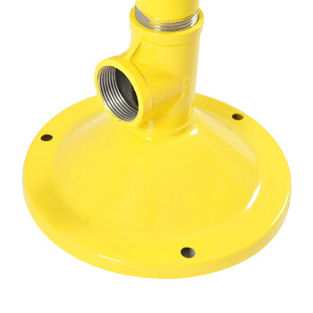 星工(XINGGONG)立式ABS洗眼器 双口紧急冲淋洗眼睛 验厂工业实验室 BTL11A