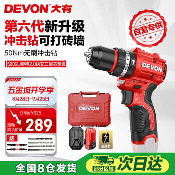 大有(Devon)京东集采JC系列12V无刷冲击手电钻电动螺丝刀电动工具5209U塑盒装