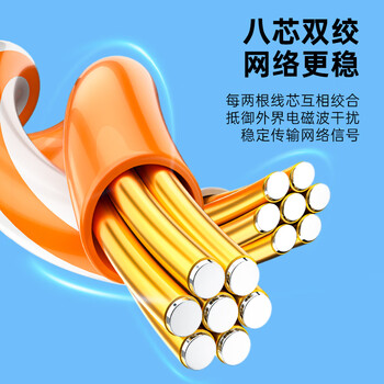 SAMZHE山泽 超五类网线 CAT5e类高速千兆网线 2米 工程/连接跳线 成品网线 贝吉色 ZW-02