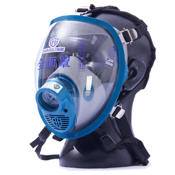 海固（HAI GU） HG-800 硅胶防尘全面具（不含过滤件）颜色随机发货 宝蓝色/灰色 1个