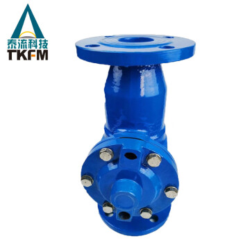 泰流科技（TKFM）倒流防止器DF41X-16  DN80