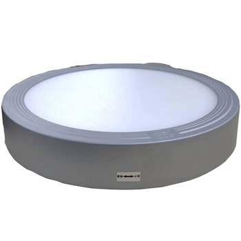 海洋王 OK9188-ⅢGJ 18W 4200K 冷白光 300*50mm LED灯泡(计价单位：个)银