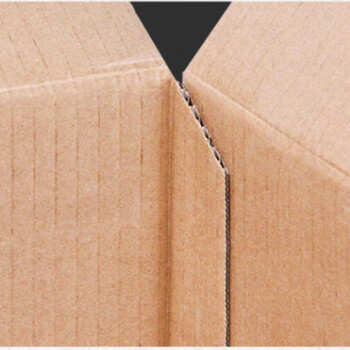 飞尔（FLYER）包装盒快递纸箱 打包纸盒长方形纸箱子【310×210×195mm】50个起批