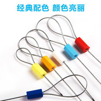 飞尔（FLYER）一次性六角铅封 抽紧式钢丝封条 一次性封条物流货车铅封100条【26.5×14mm 】