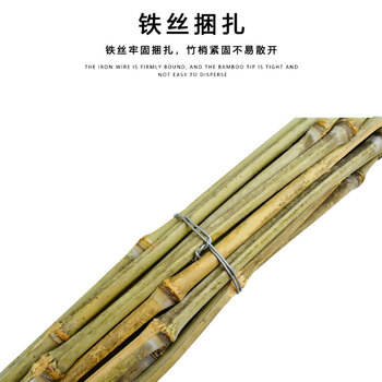 亿丽佳环卫马路物业竹扫把柏油路清扫大笤帚庭院大扫把（竹枝连体高约2米）5把一组