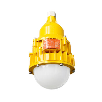 海洋王 ok-8767-LZSH LED应急平台灯 50W