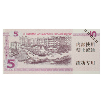 飞尔（FLYER）银行练功专用100视频道具各种面额逼真比赛券 5元点钞币20000张