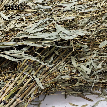 安赛瑞 竹制大扫把 环卫扫把笤帚扫帚 (5把装）扫雪工具 物业工厂环卫清洁大扫帚 180*70CM 23941