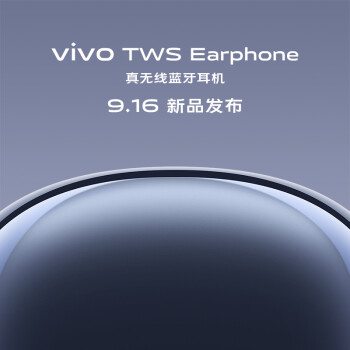 vivo TWS Earphone 真无线蓝牙耳机