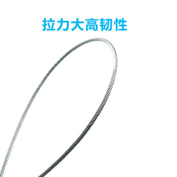 飞尔（FLYER）方头钢丝铅封 一次性镀锌钢丝封条铅封锁 抽紧式施封集装箱货车锁100条【16.2mm】