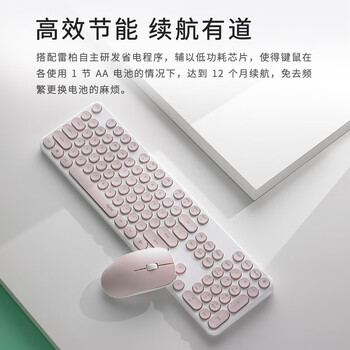 雷柏（Rapoo） X260S 键鼠套装 无线键鼠套装 办公键盘鼠标套装 电脑键盘 笔记本键盘 粉色