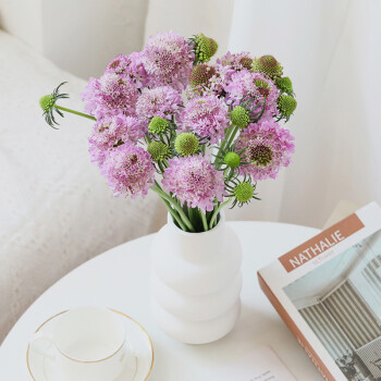 日常家用办公室花瓶插花水养鲜切花全国速递包邮浅紫色松虫草5支810朵