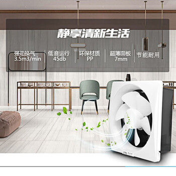 靓美特（LIANMEITE）百叶窗排气扇 商用油烟低噪排风扇 大风量通风排气扇 普通全塑 APB25-03B【10寸 33w】