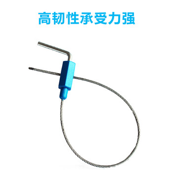 飞尔（FLYER）小摇把式钢丝封条 电力物流施封锁 钢丝铅封摇把锁100条【下单请备注颜色】