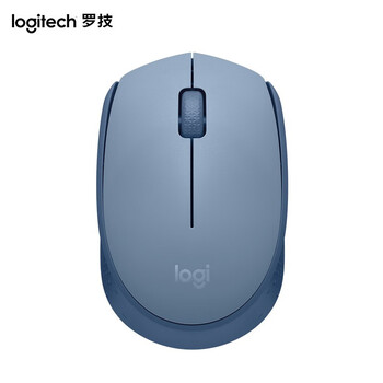 罗技（Logitech）M172无线鼠标 家用商务办公鼠标2.4G接收器 品月蓝
