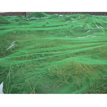 飞尔（FLYER）加密防尘网盖土网 绿色防扬尘覆盖网 建筑围网 施工防尘围网 8M×30M【FL068z】