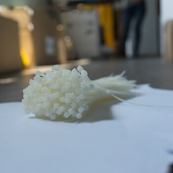 飞尔(FLYER)尼龙扎带 白色尼龙捆扎带 管道绑扎带【250根装 5.2×400mm】