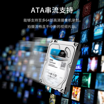 希捷（SEAGATE）安防硬盘 4TB 256MB SATA SMR叠瓦 机械硬盘 视频储存 三年质保 希捷酷鹰 3.5英寸ST4000VX013