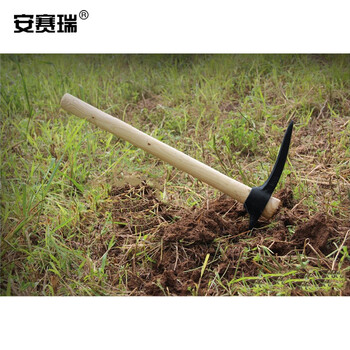 安赛瑞 洋镐 十字镐 木柄钢镐 锰钢镐头 开荒工地施工户外清洁工具 90cm 23944
