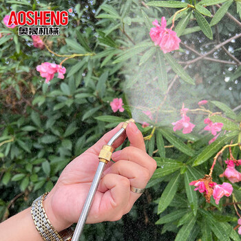 奥晟机械（AOSHENG）5升电动喷雾器酒精消毒农用品农药喷雾机打药壶园艺浇花喷壶锂电背负式打药机5L