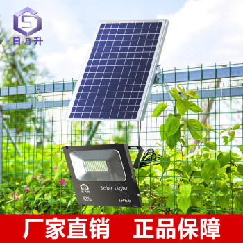 日月升 RYS-TGL100雷达 太阳能投光灯 雷达感应灯 射灯 100W