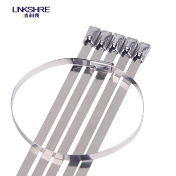 凌科朔（LINKSHIRE）不锈钢滚珠自锁式扎带7.9*300mm 304材质100条 电力电缆标识牌船用标牌金属钢扎带