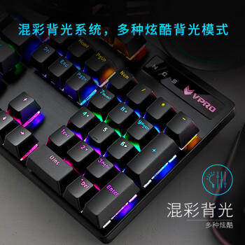 雷柏（Rapoo） V500PRO 有线背光机械键盘 104键全尺寸游戏电竞笔记本电脑多媒体办公吃鸡全键无冲键盘 红轴