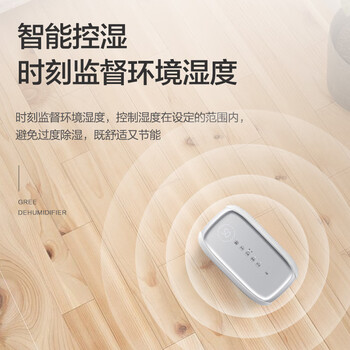格力（GREE）【低噪小体积】除湿机/抽湿机家用除湿量12升/天单间参考面积24平24H定时除湿器DH12EN