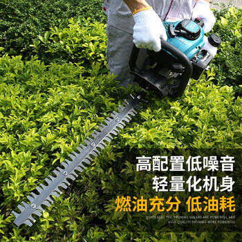 锐尔（real）绿篱机可变弧形茶叶修剪机茶树重修剪采茶机草坪造型修剪园林绿化修枝剪 豪华款锐尔TOPONE双刃