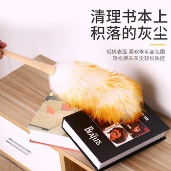 奥伊达 鸡毛禅子除尘家用打扫清洁扫灰毯子神器车用大扫除羊毛掸子 大号