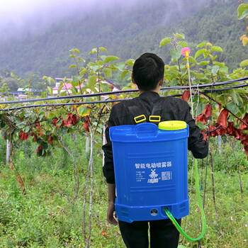 冰禹 BY-1701 农用电动喷雾器打药机 【国标】14A机身调速（双开关）