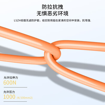 千天（Qantop）QT-GJFJH-6A1a 室内光纤线多模50/125束状 10米