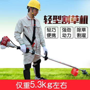 锐尔（real）割草机两冲程燃油轻型手提式打草除草草坪剪草机收割机 锐尔1E34/两节式豪华套餐+礼包 