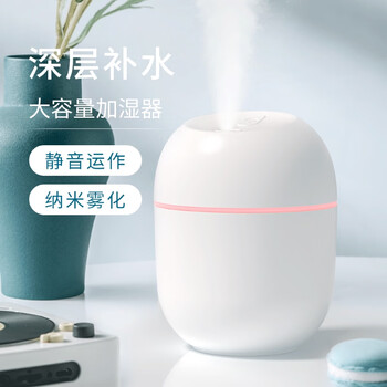 遥里逊彩蛋加湿器家用小型迷你静音加湿器 白色YLX-717